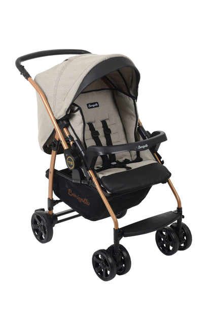 Burigotto - Kit Carrinho de Bebê TS Travel System com Bebê Conforto