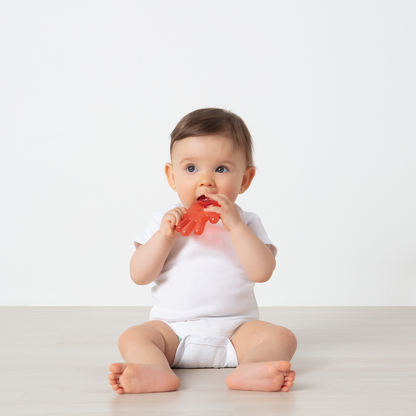 Buba - Mordedor Com Água Mãozinha